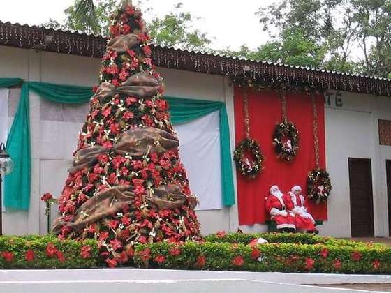 Natal ASSEMIB (foto 1 de 9)